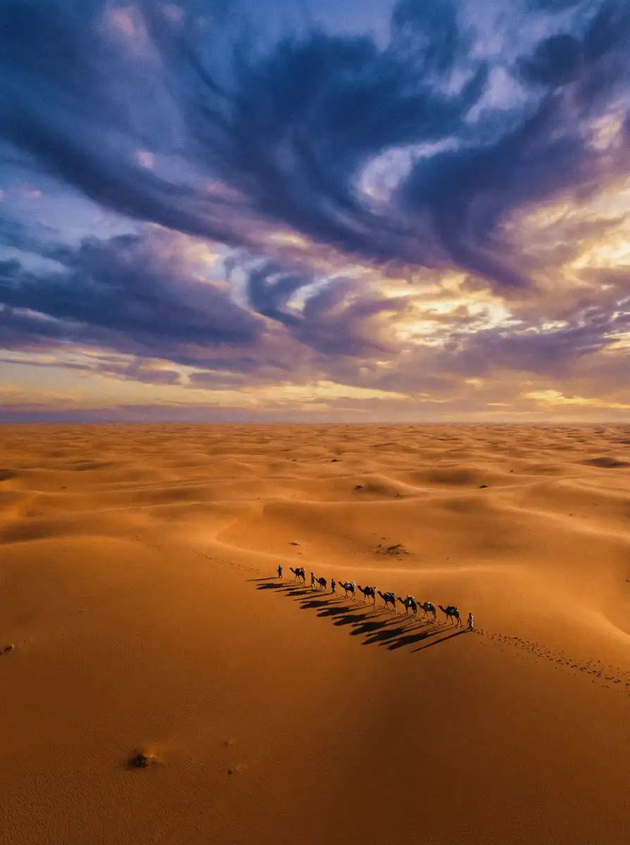 纪录片《丝路回响》